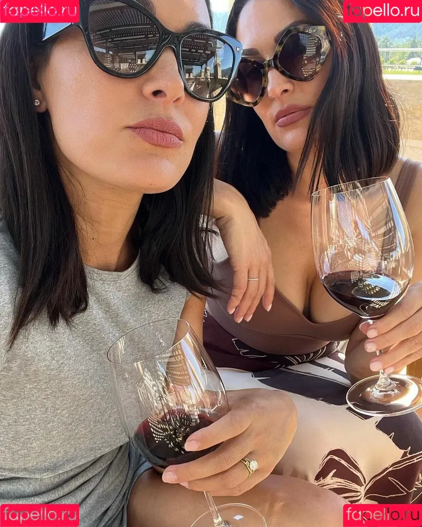 The Bella Twins: Onlyfans Photo Gallery 