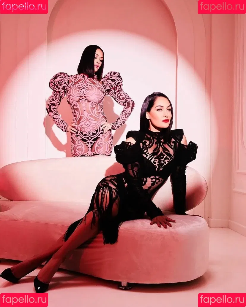 The Bella Twins: Onlyfans Photo Gallery 