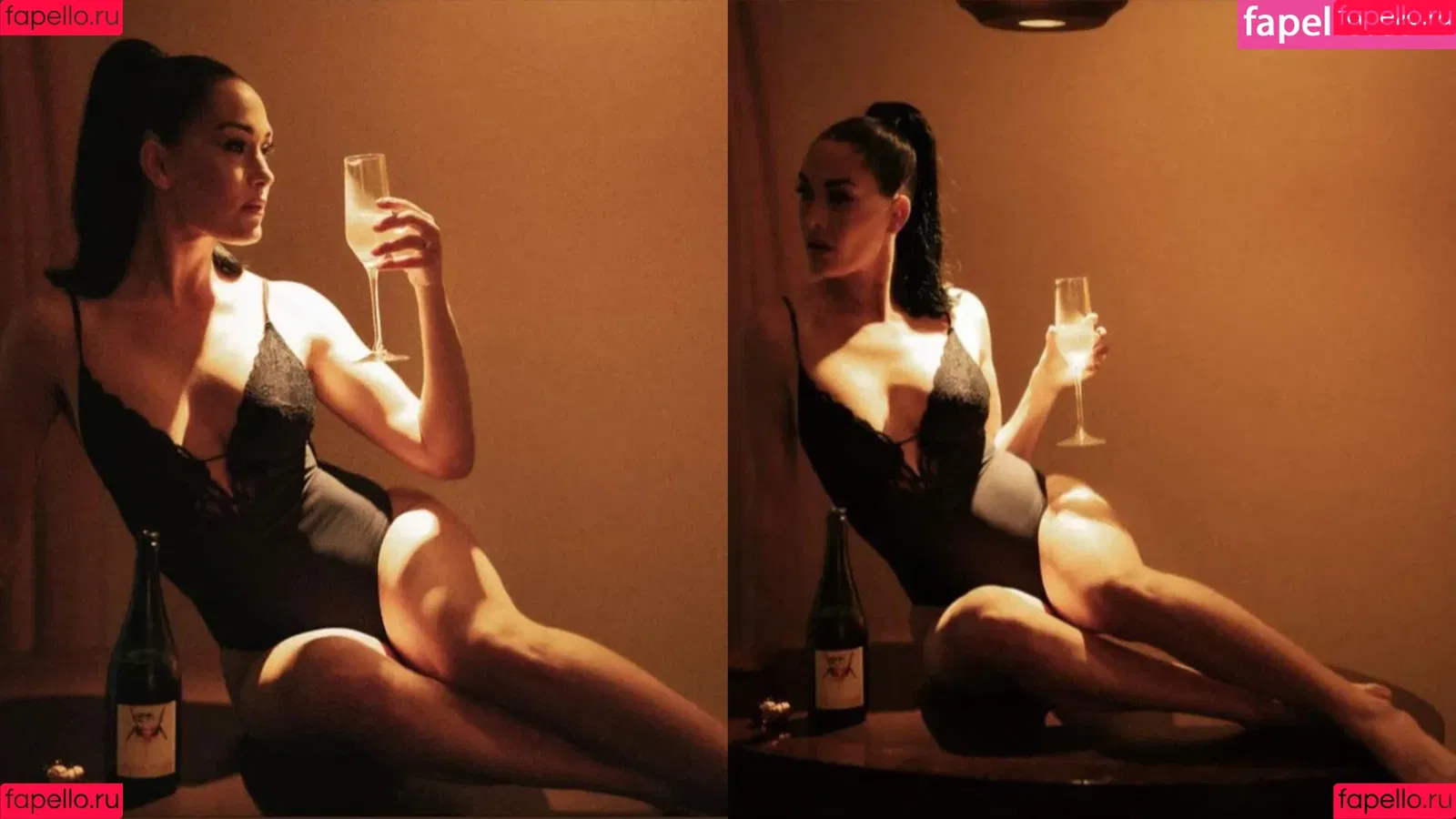 The Bella Twins: Onlyfans Photo Gallery 