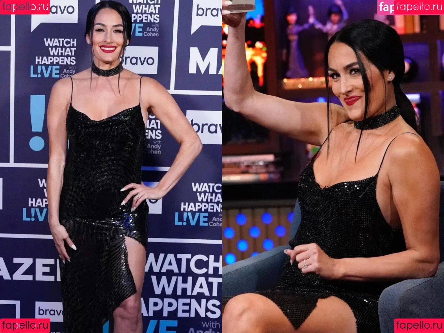 The Bella Twins: Onlyfans Photo Gallery 