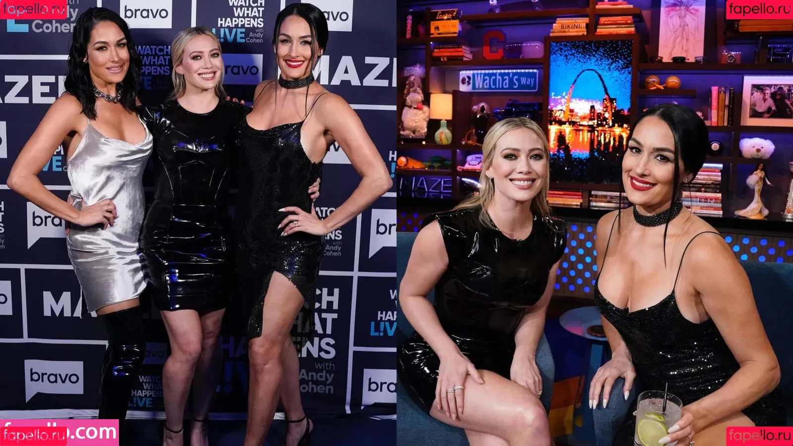 The Bella Twins: Onlyfans Photo Gallery 