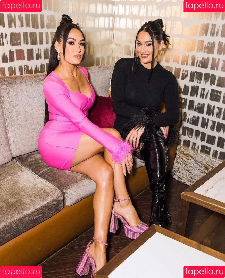 The Bella Twins: Onlyfans Photo Gallery 