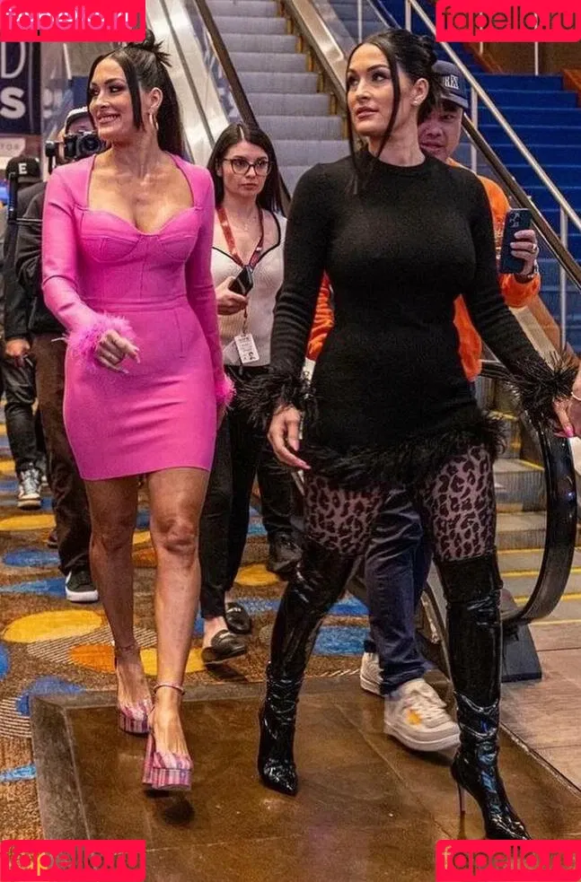 The Bella Twins: Onlyfans Photo Gallery 