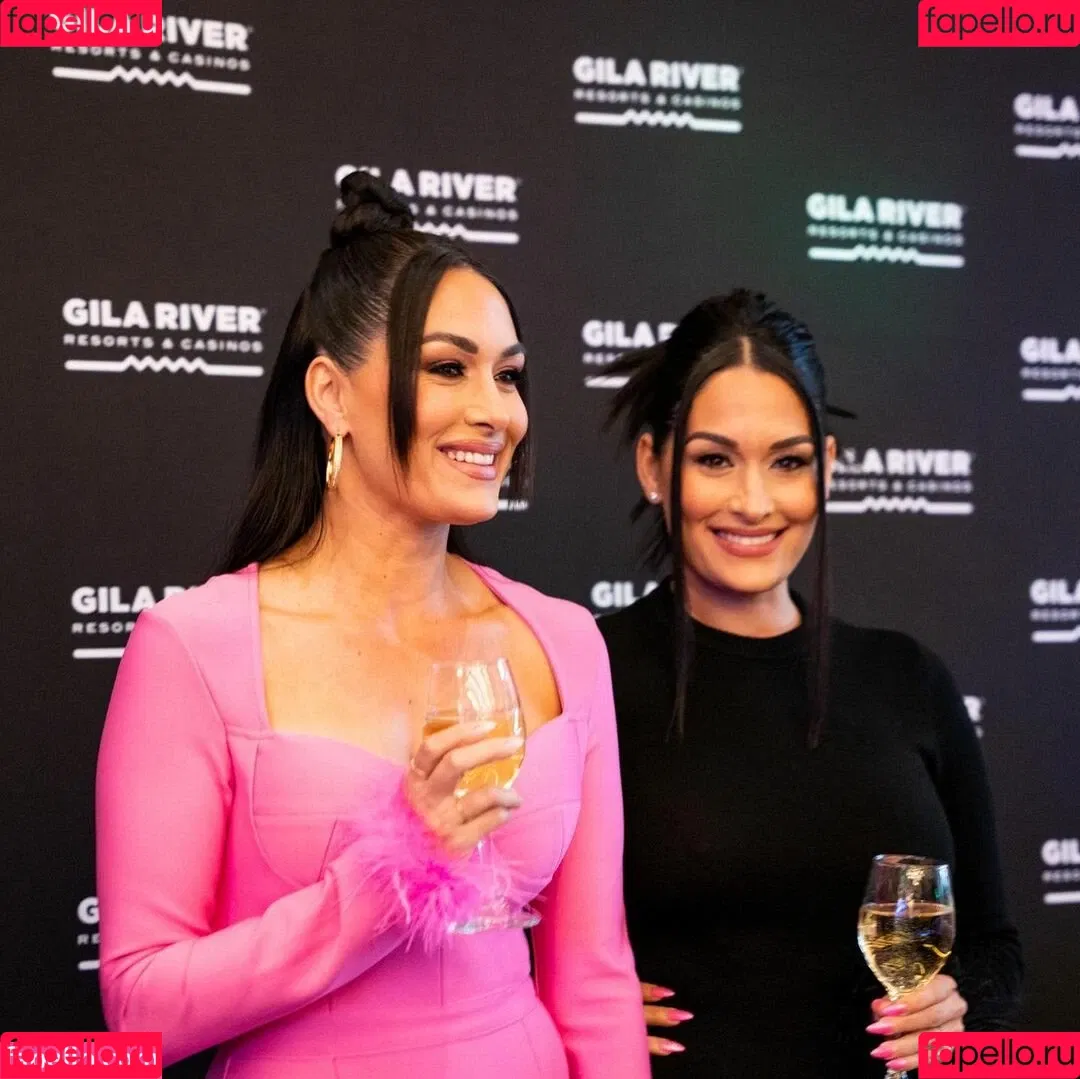 The Bella Twins: Onlyfans Photo Gallery 