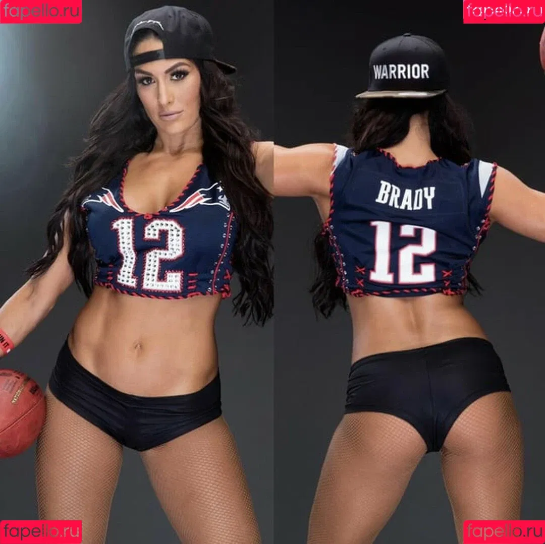 The Bella Twins: Onlyfans Photo Gallery 