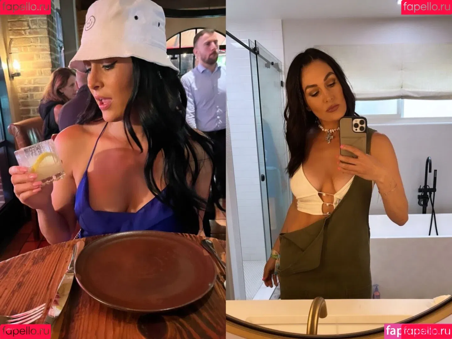 The Bella Twins: Onlyfans Photo Gallery 