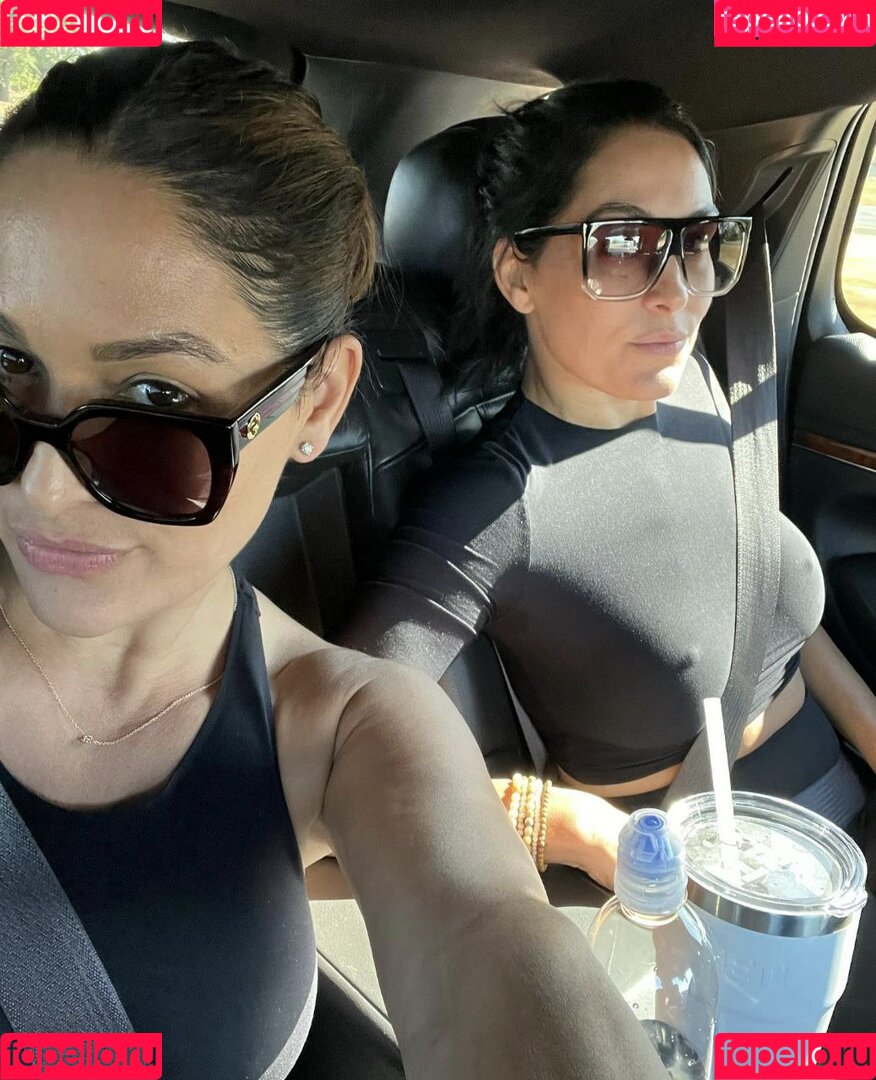 The Bella Twins: Onlyfans Photo Gallery 