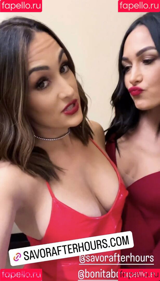 The Bella Twins: Onlyfans Photo Gallery 