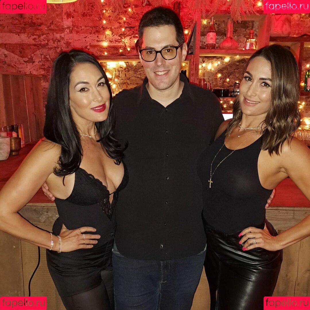 The Bella Twins: Onlyfans Photo Gallery 