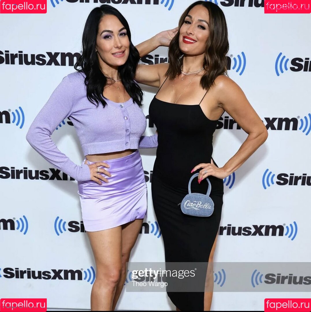 The Bella Twins: Onlyfans Photo Gallery 
