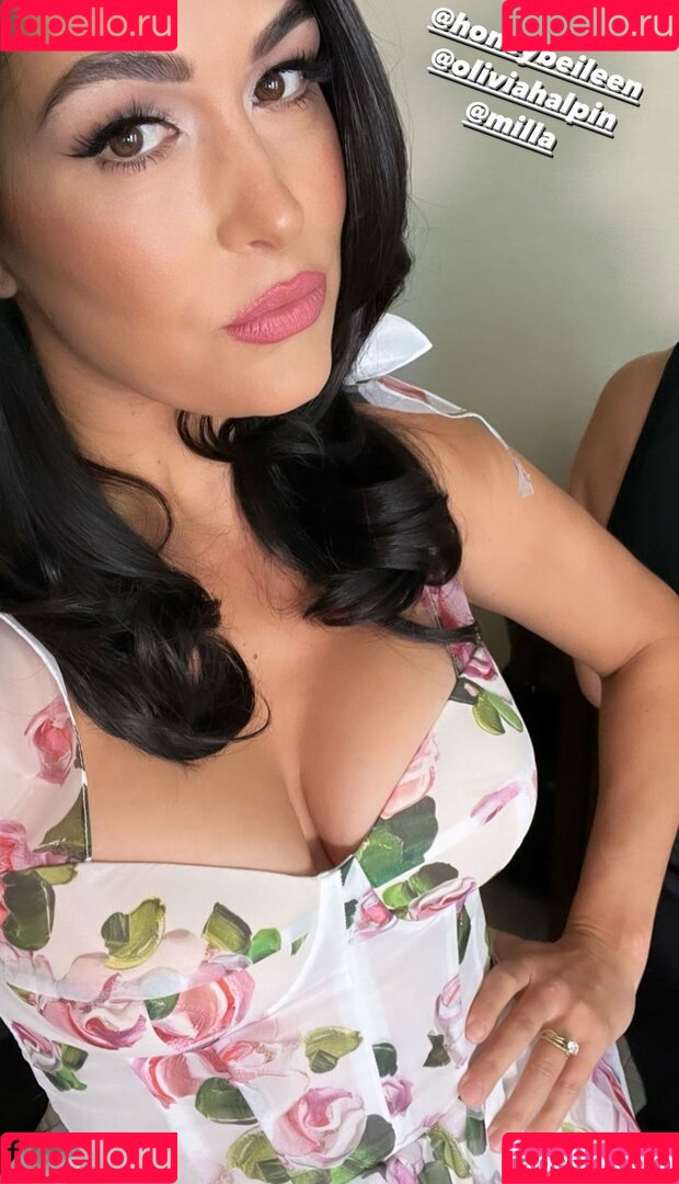 The Bella Twins: Onlyfans Photo Gallery 