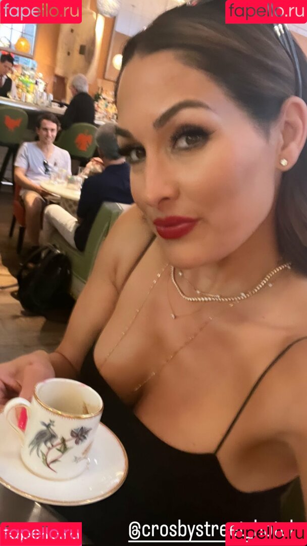 The Bella Twins: Onlyfans Photo Gallery 