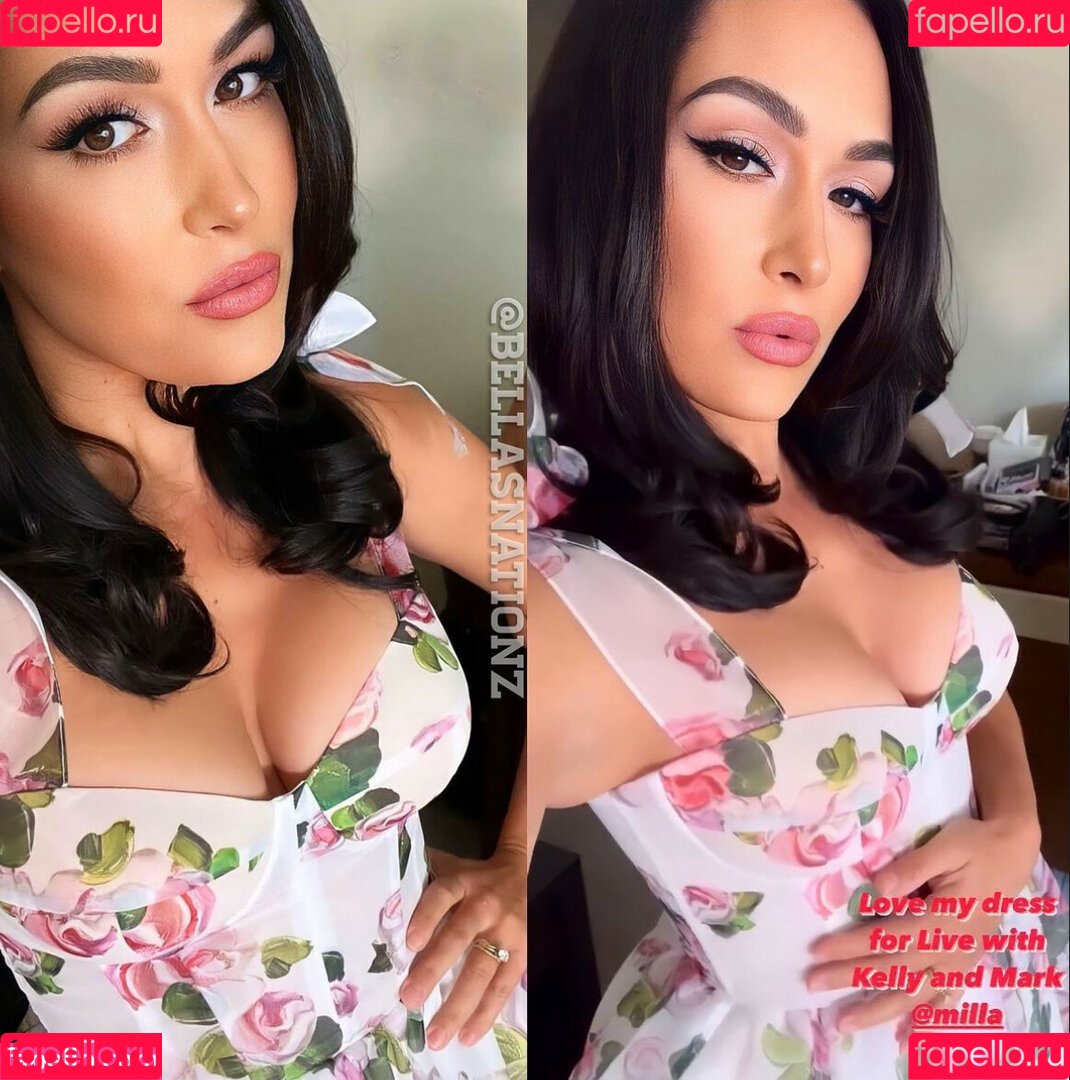 The Bella Twins: Onlyfans Photo Gallery 