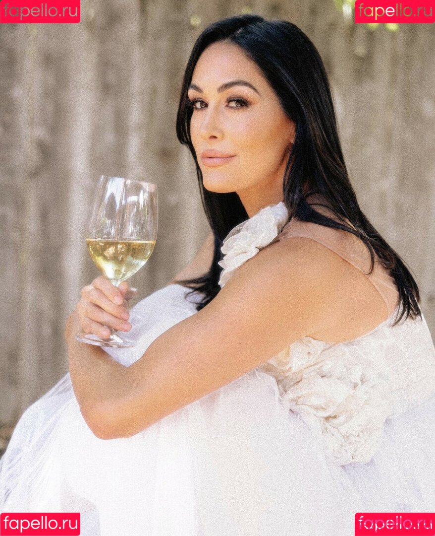 The Bella Twins: Onlyfans Photo Gallery 