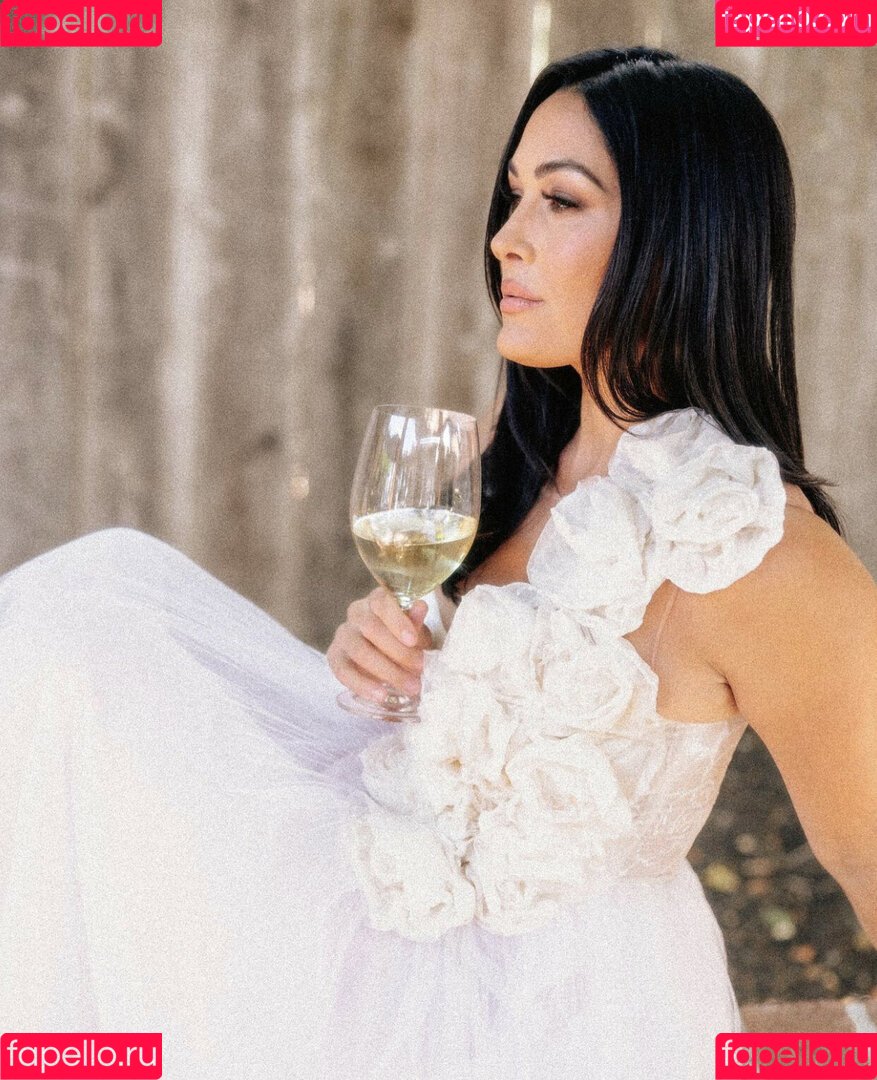 The Bella Twins: Onlyfans Photo Gallery 