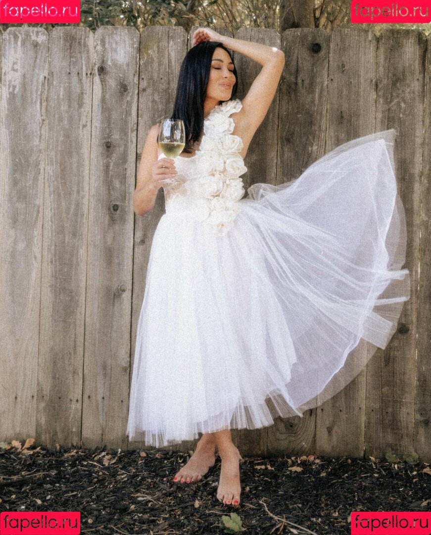 The Bella Twins: Onlyfans Photo Gallery 