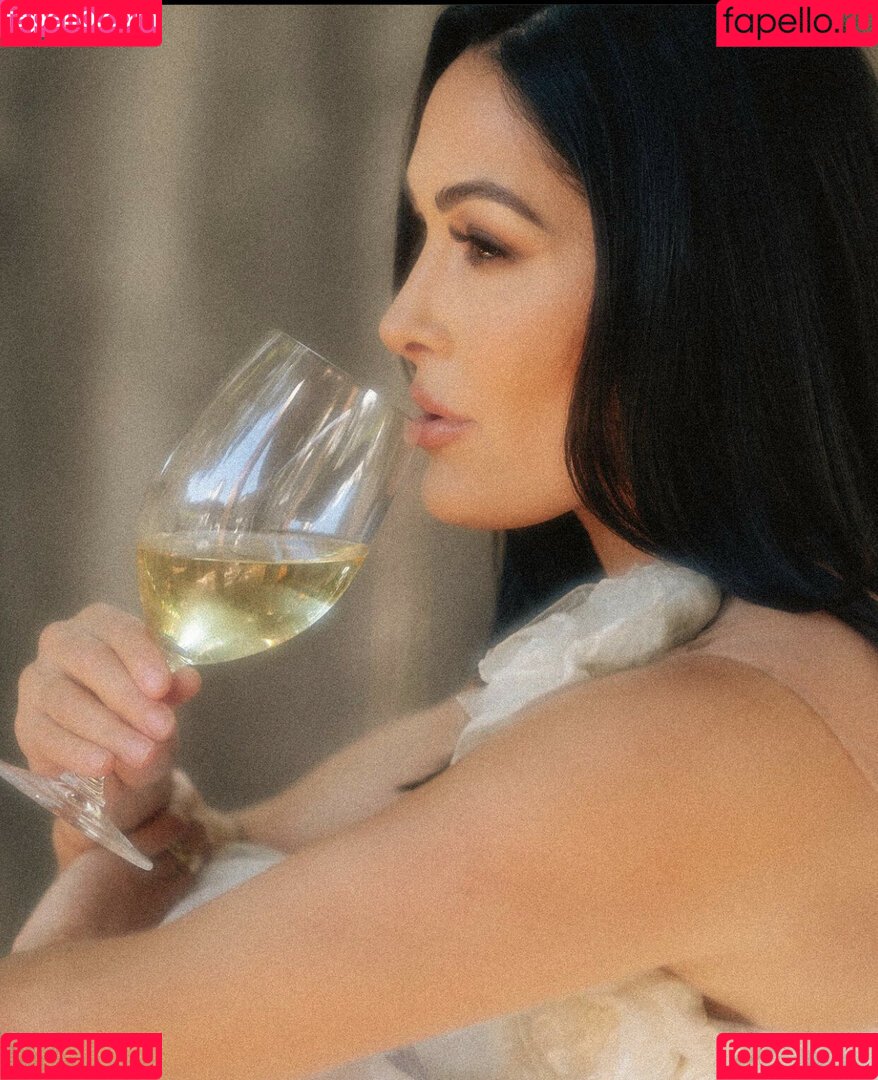 The Bella Twins: Onlyfans Photo Gallery 