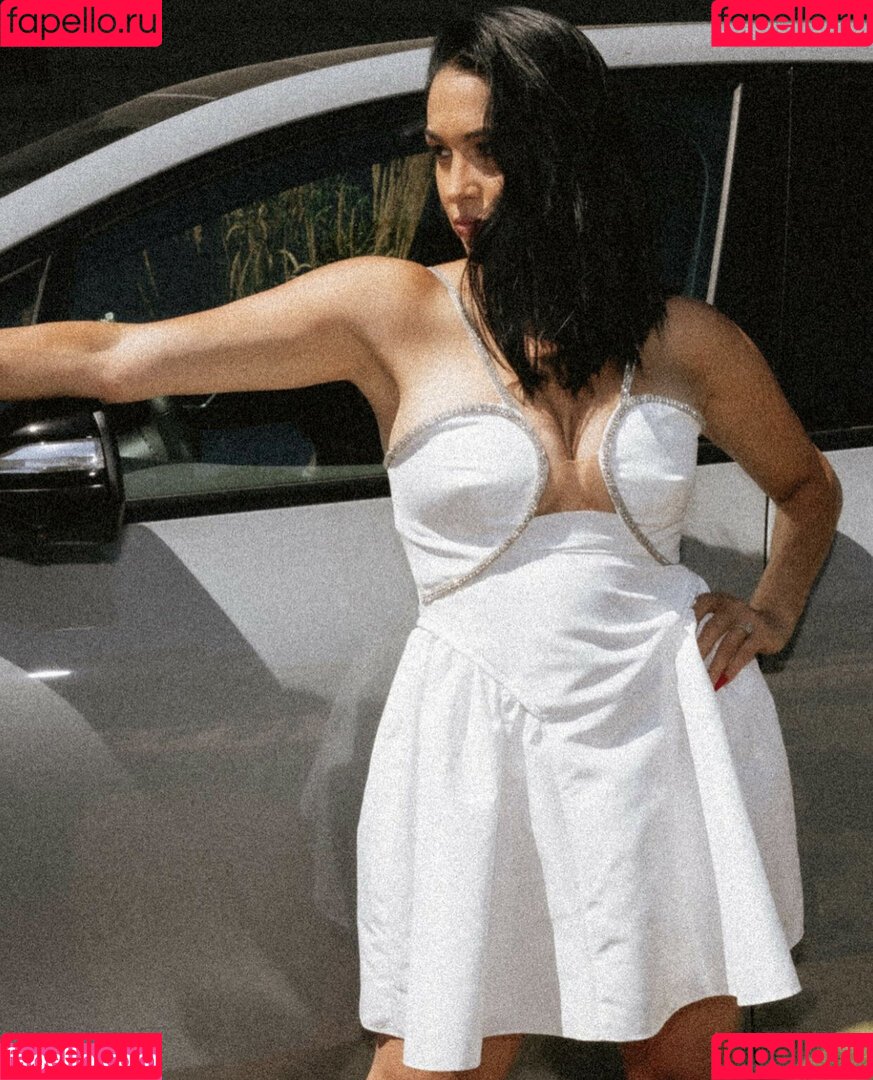 The Bella Twins: Onlyfans Photo Gallery 