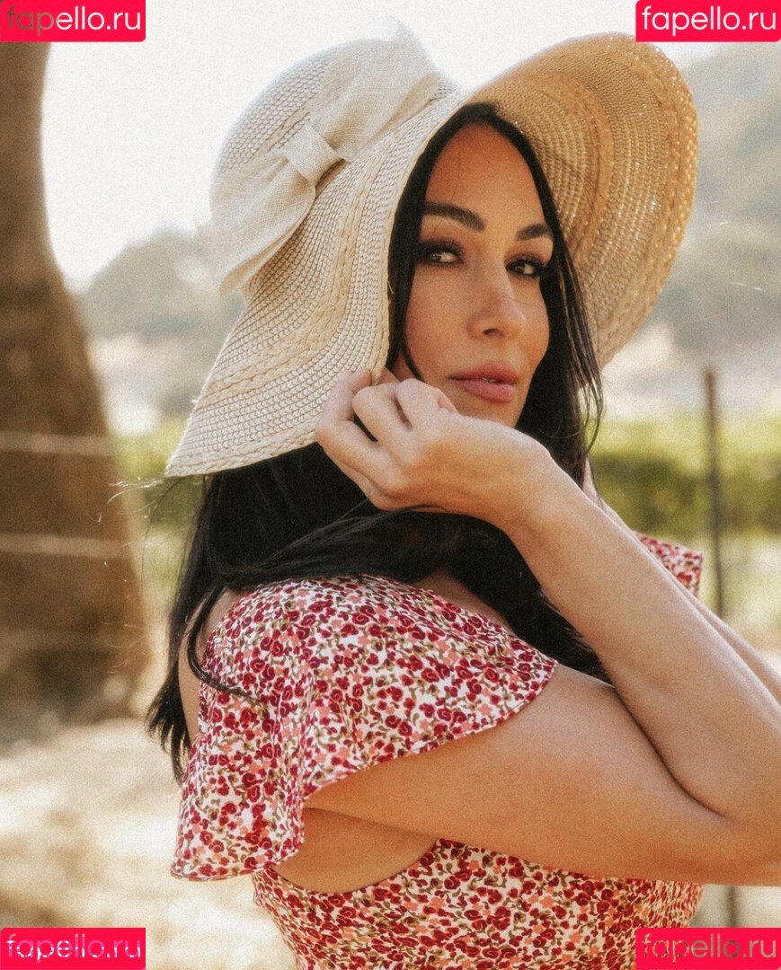 The Bella Twins: Onlyfans Photo Gallery 