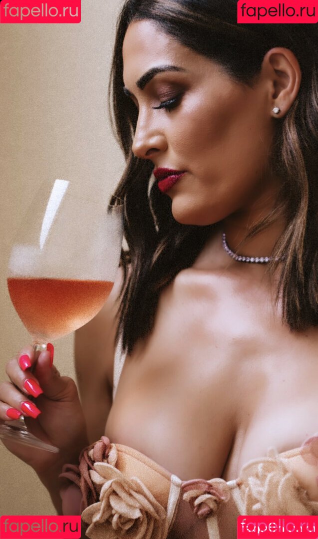 The Bella Twins: Onlyfans Photo Gallery 