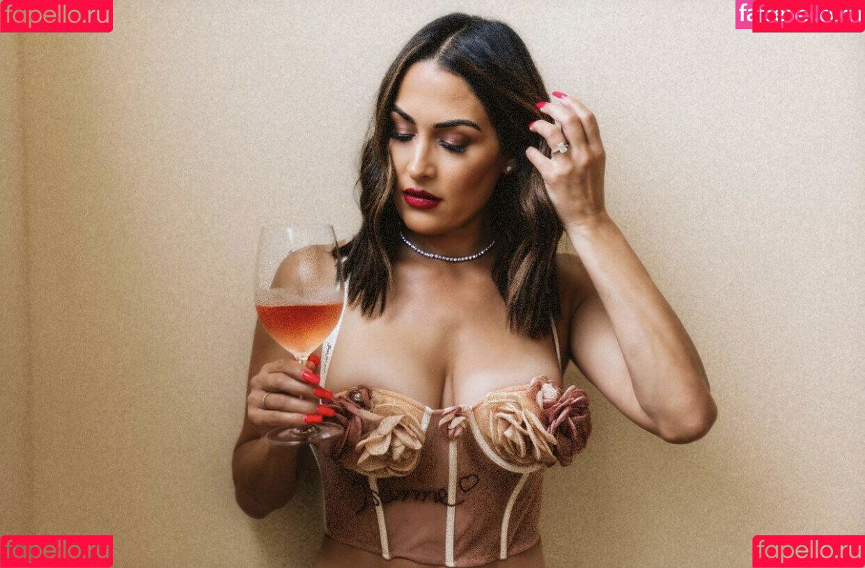 The Bella Twins: Onlyfans Photo Gallery 