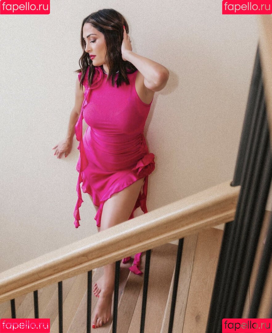 The Bella Twins: Onlyfans Photo Gallery 