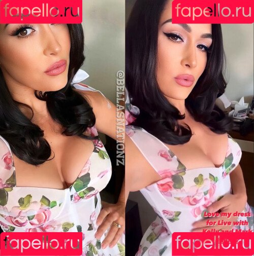 The Bella Twins: Onlyfans Photo Gallery 