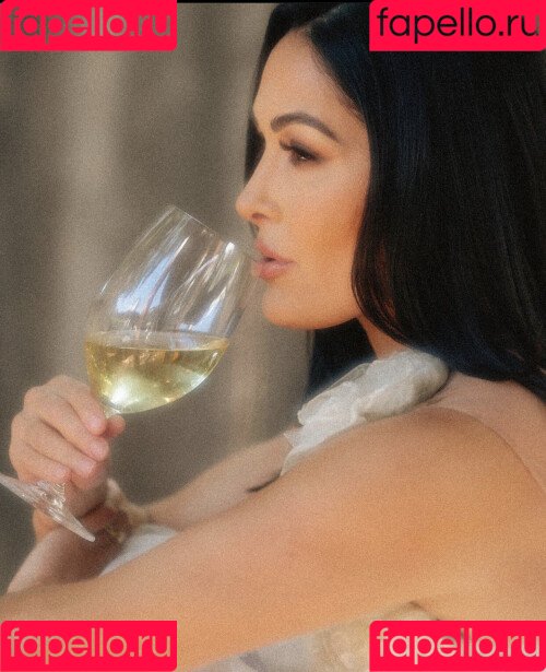 The Bella Twins: Onlyfans Photo Gallery 