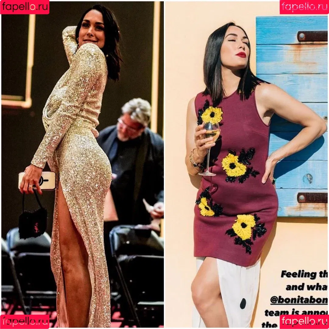 The Bella Twins: Onlyfans Photo Gallery 
