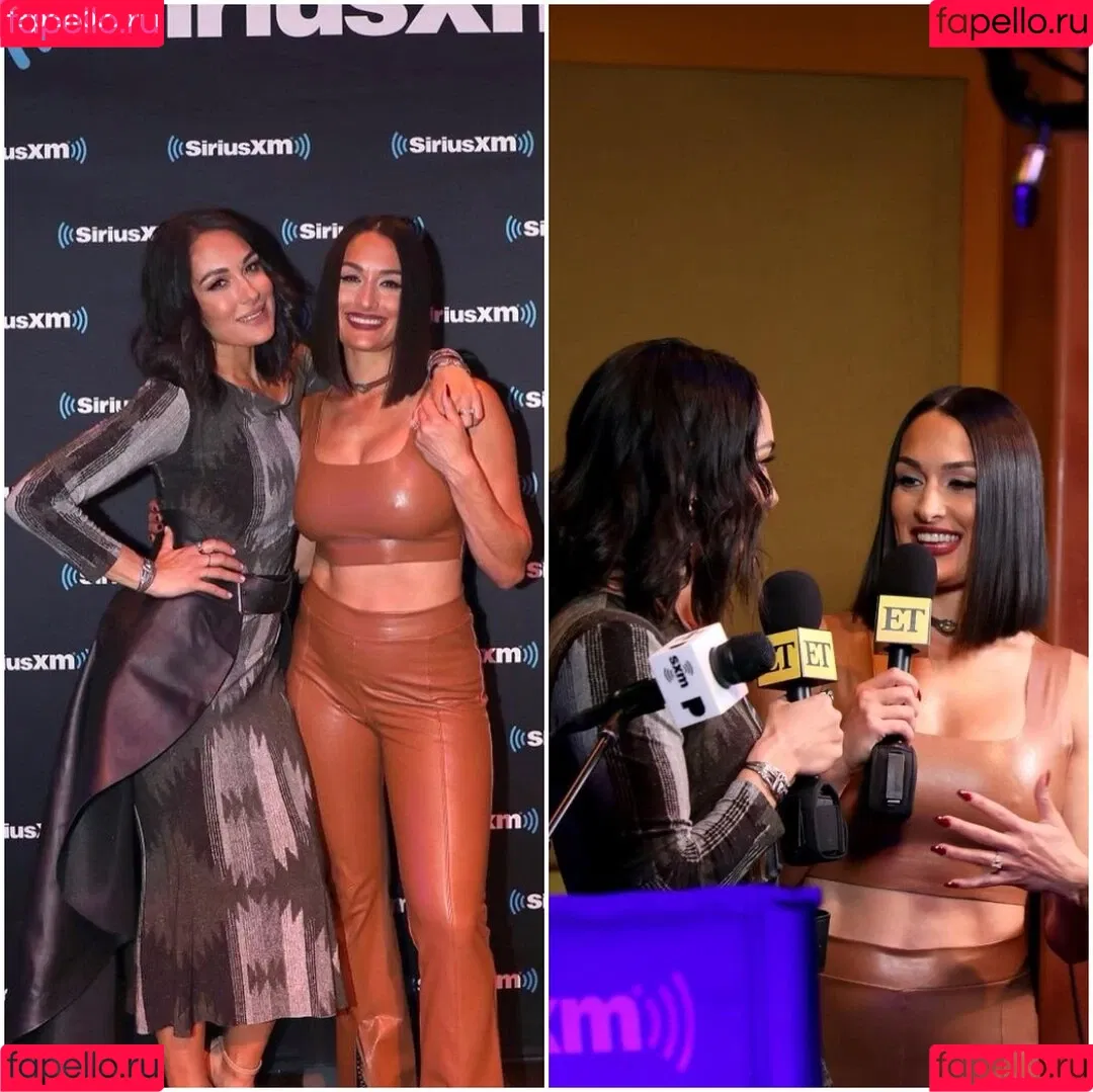 The Bella Twins: Onlyfans Photo Gallery 