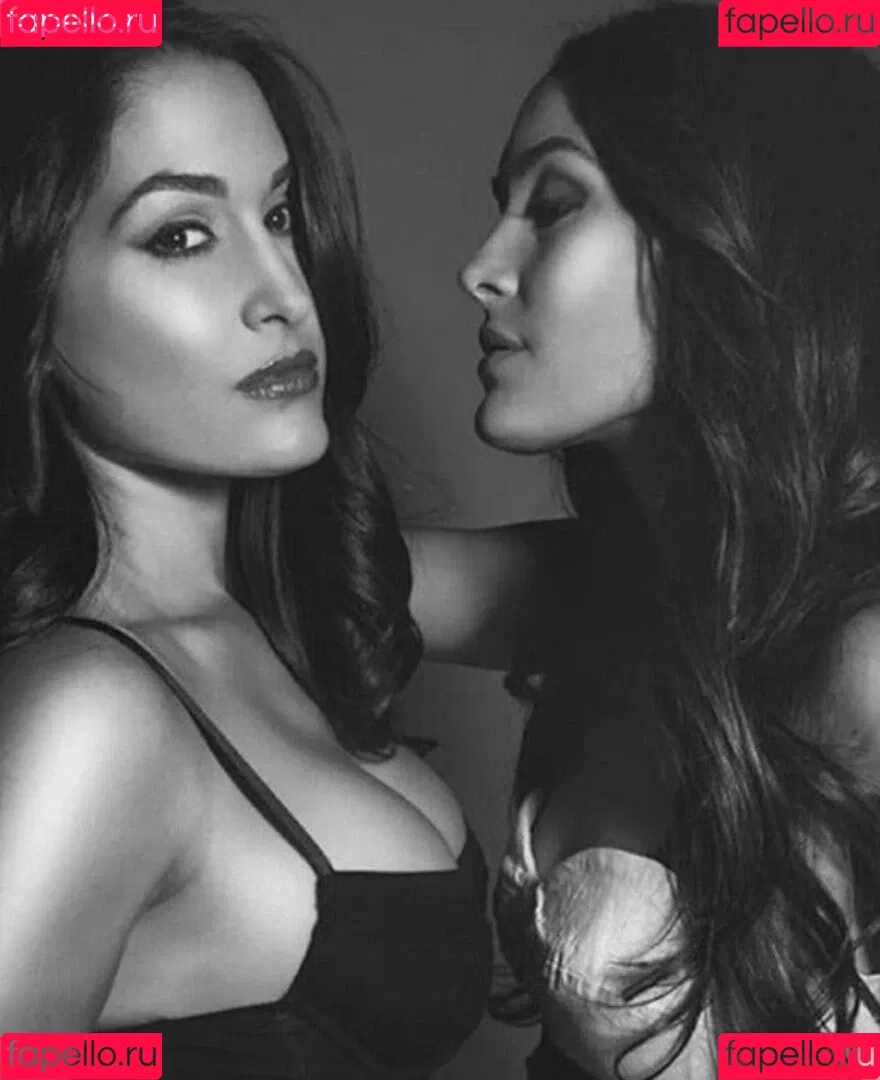 The Bella Twins: Onlyfans Photo Gallery 