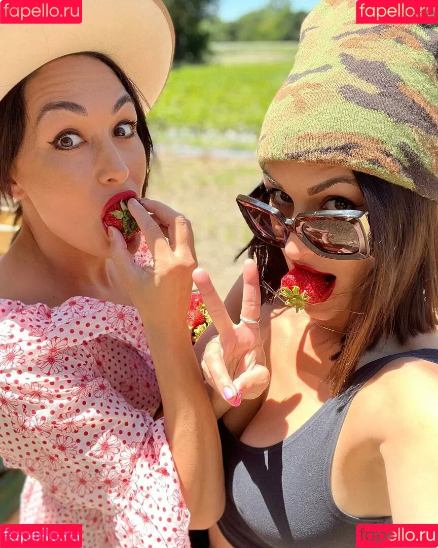 The Bella Twins: Onlyfans Photo Gallery 