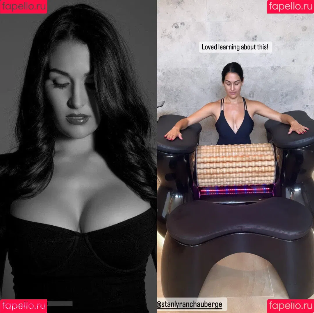 The Bella Twins: Onlyfans Photo Gallery 