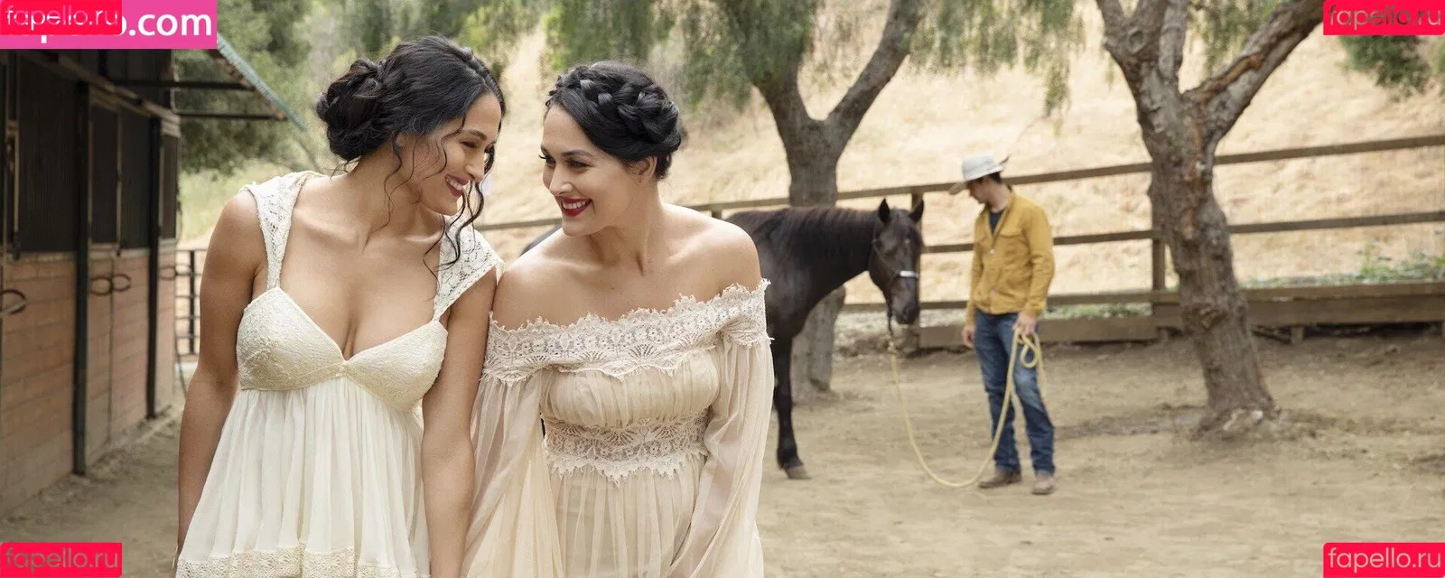 The Bella Twins: Onlyfans Photo Gallery 