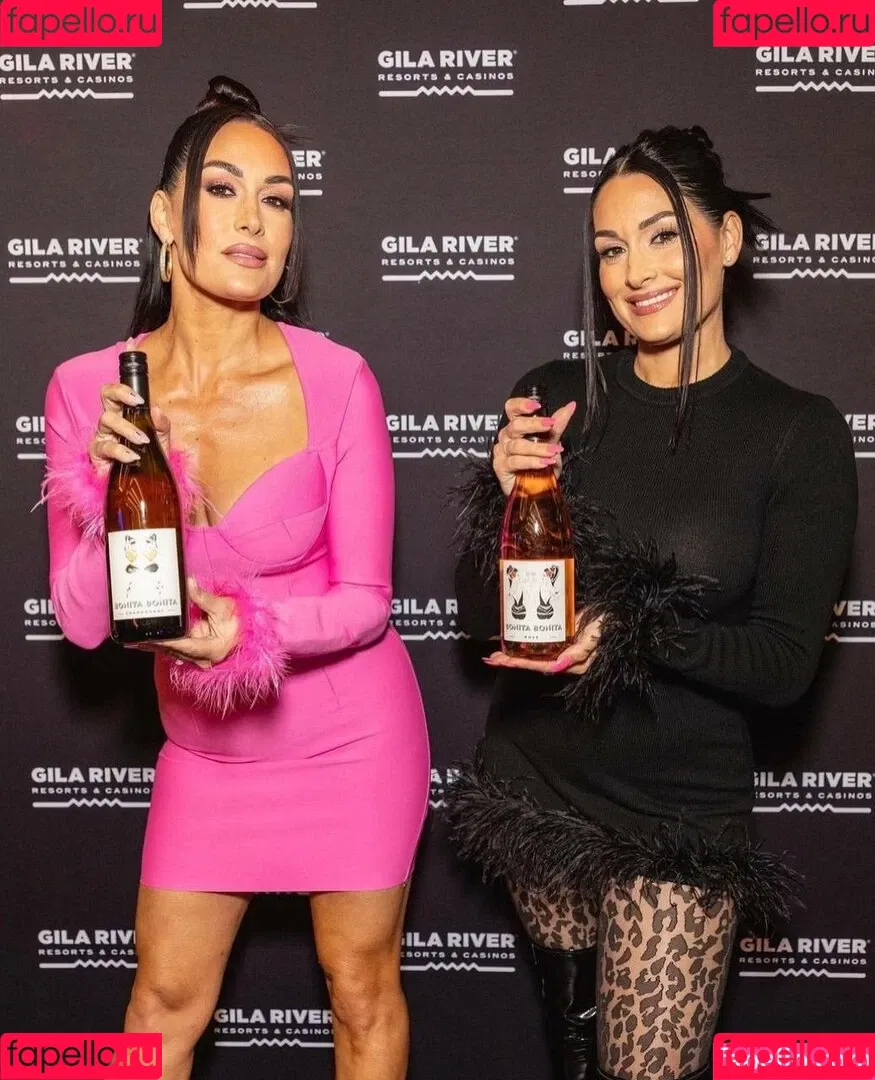 The Bella Twins: Onlyfans Photo Gallery 
