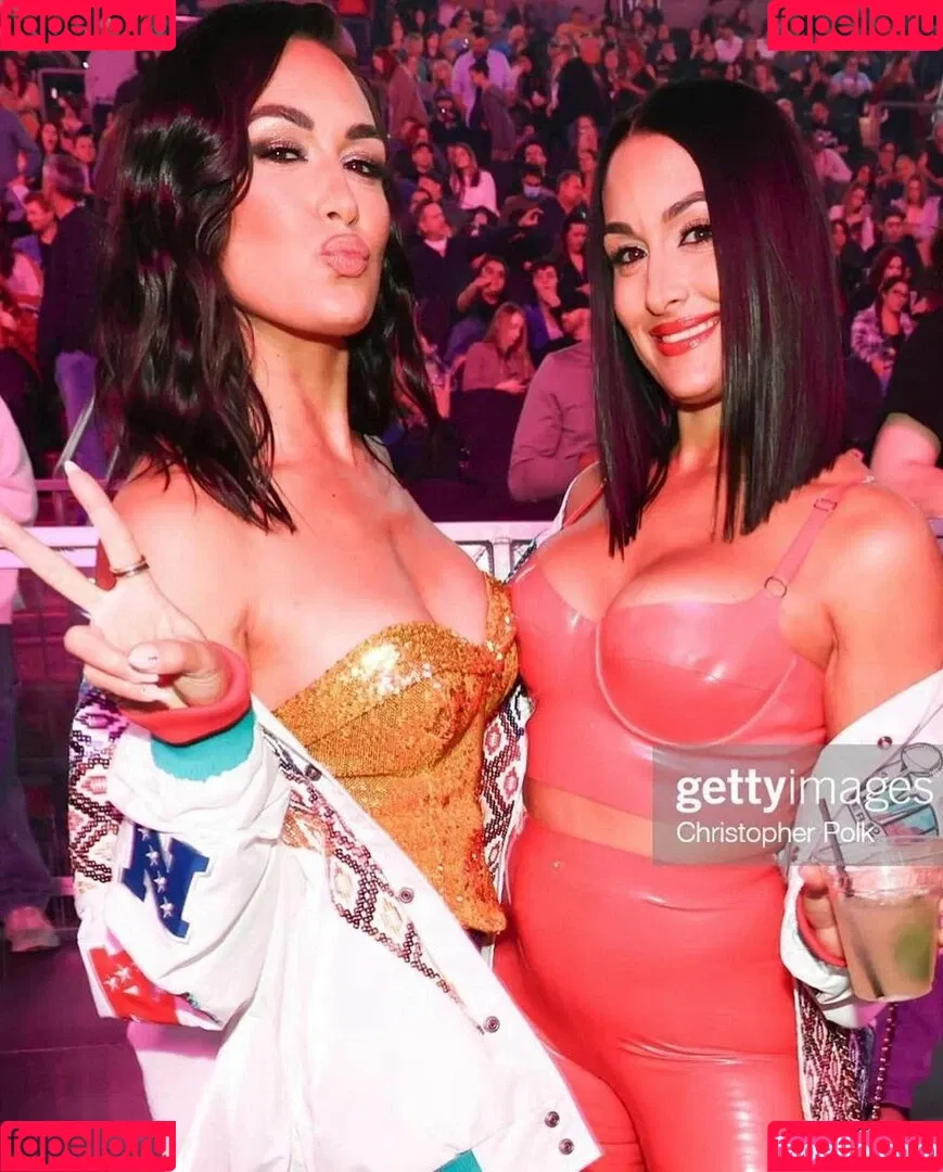 The Bella Twins: Onlyfans Photo Gallery 