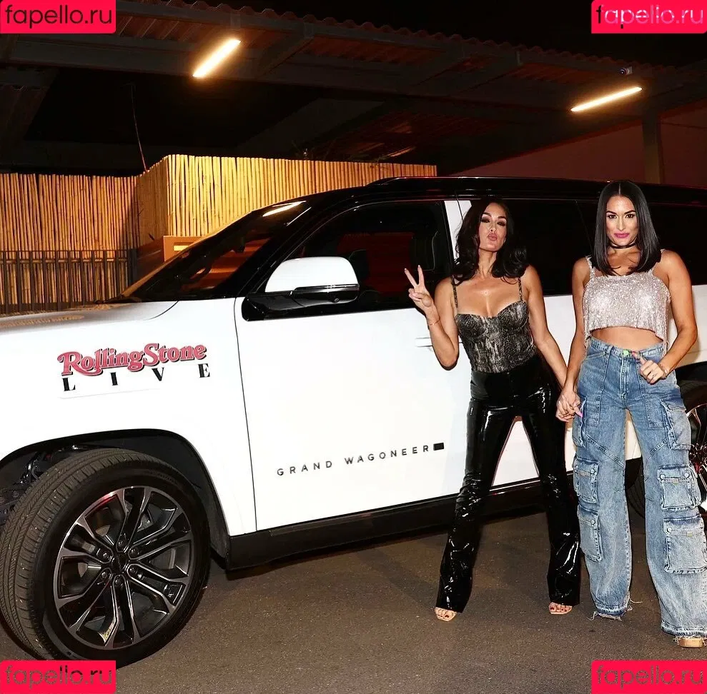The Bella Twins: Onlyfans Photo Gallery 