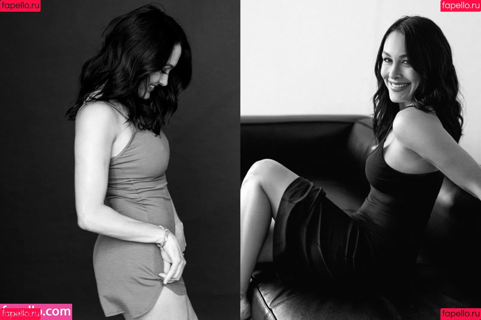 The Bella Twins: Onlyfans Photo Gallery 