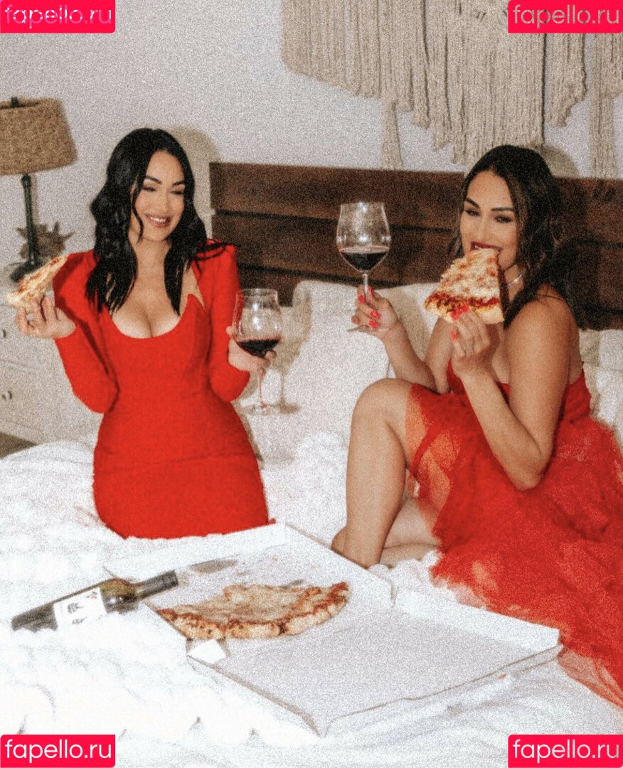 The Bella Twins: Onlyfans Photo Gallery 