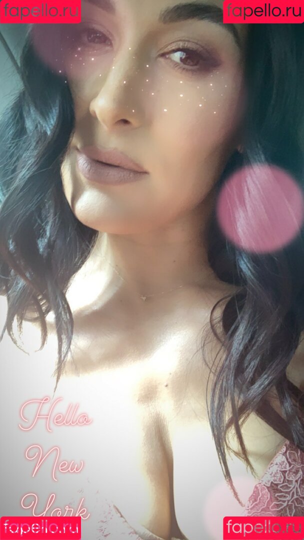 The Bella Twins: Onlyfans Photo Gallery 