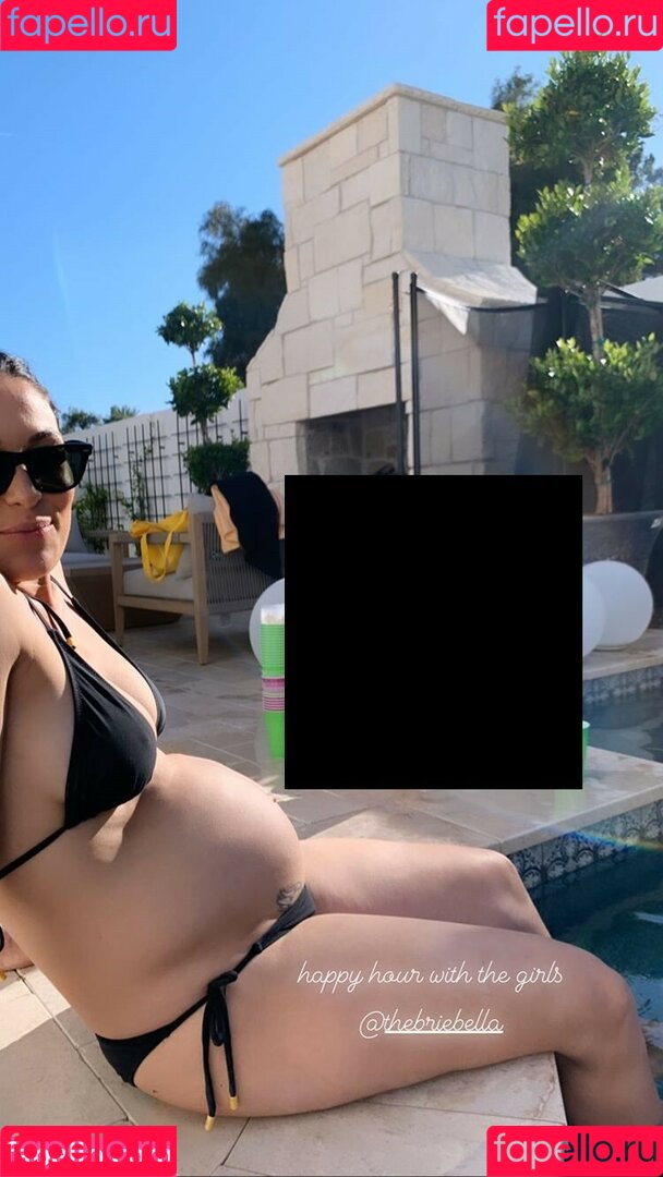 The Bella Twins: Onlyfans Photo Gallery 