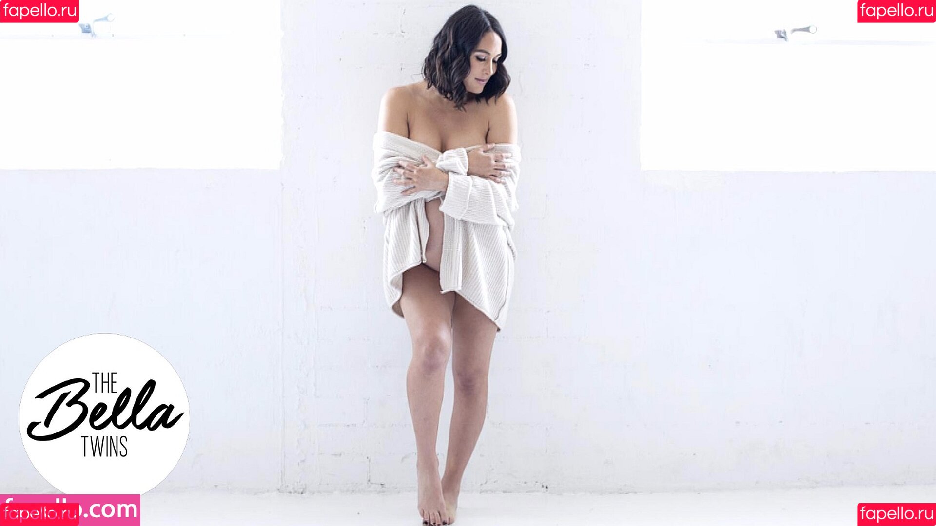 The Bella Twins: Onlyfans Photo Gallery 