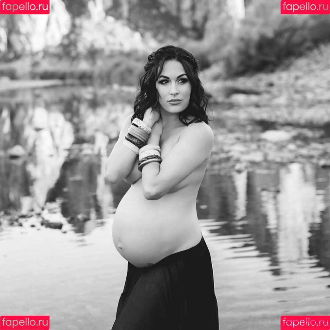 The Bella Twins: Onlyfans Photo Gallery 