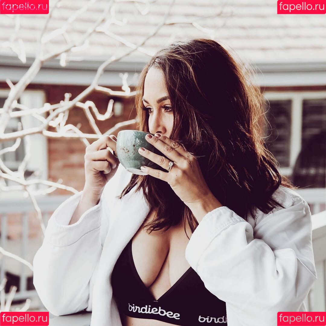 The Bella Twins: Onlyfans Photo Gallery 