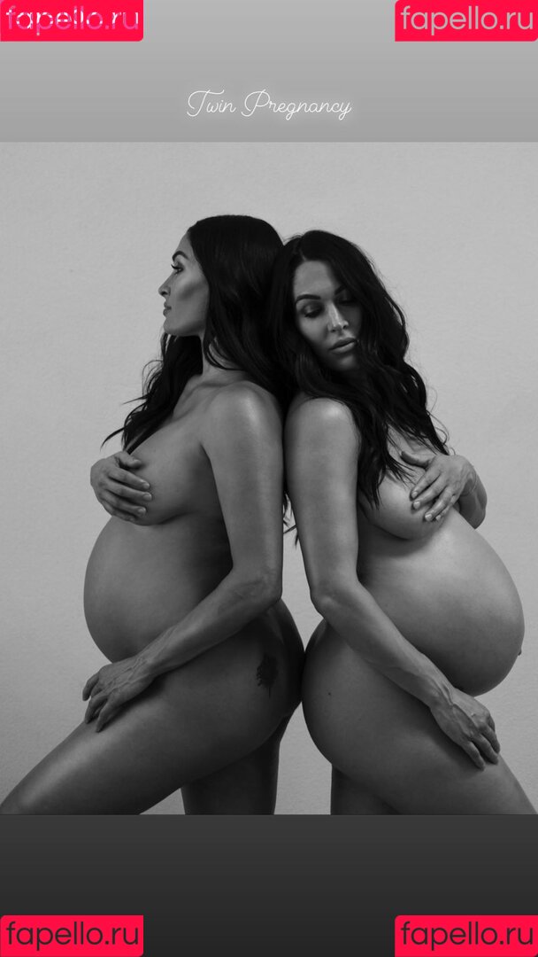 The Bella Twins: Onlyfans Photo Gallery 