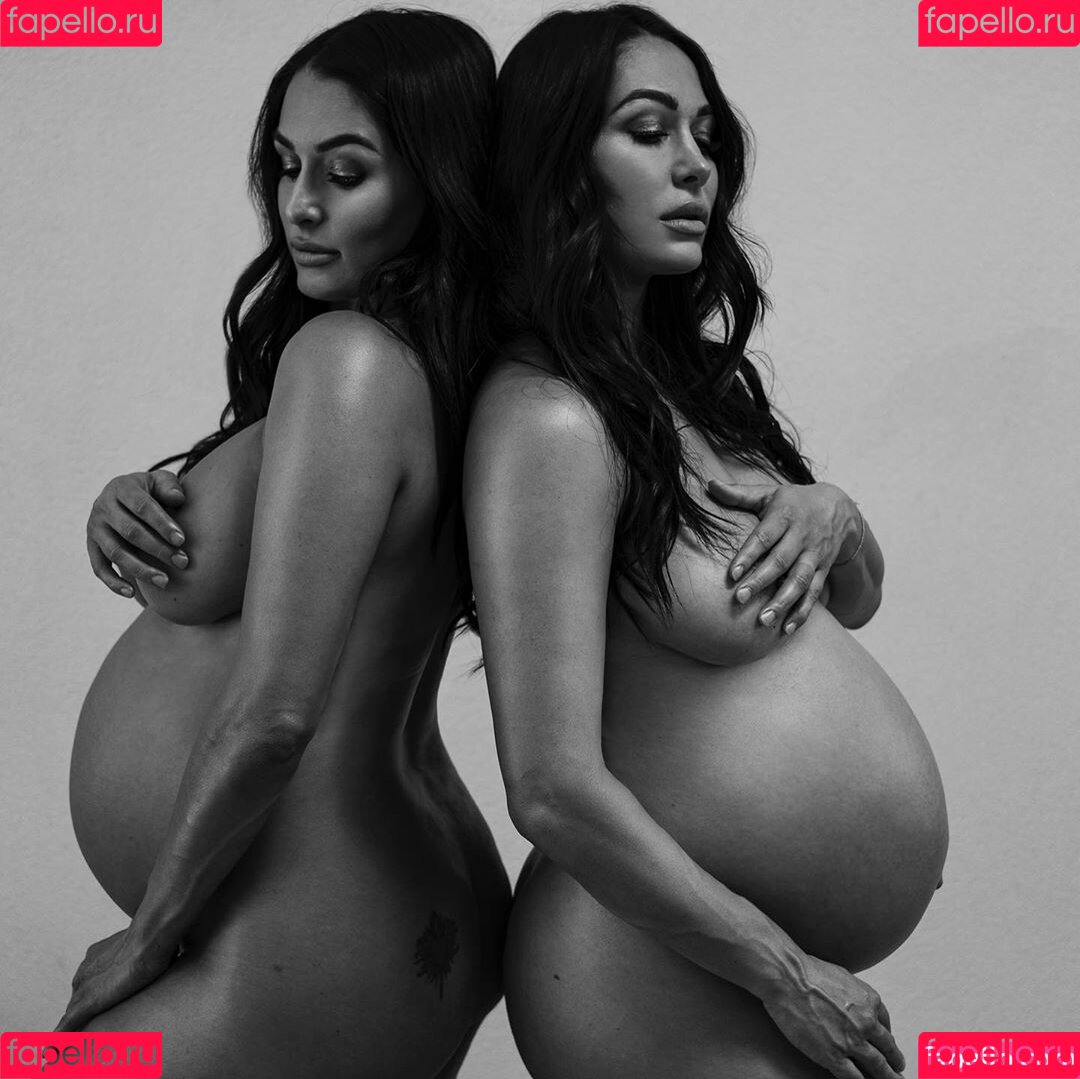The Bella Twins: Onlyfans Photo Gallery 