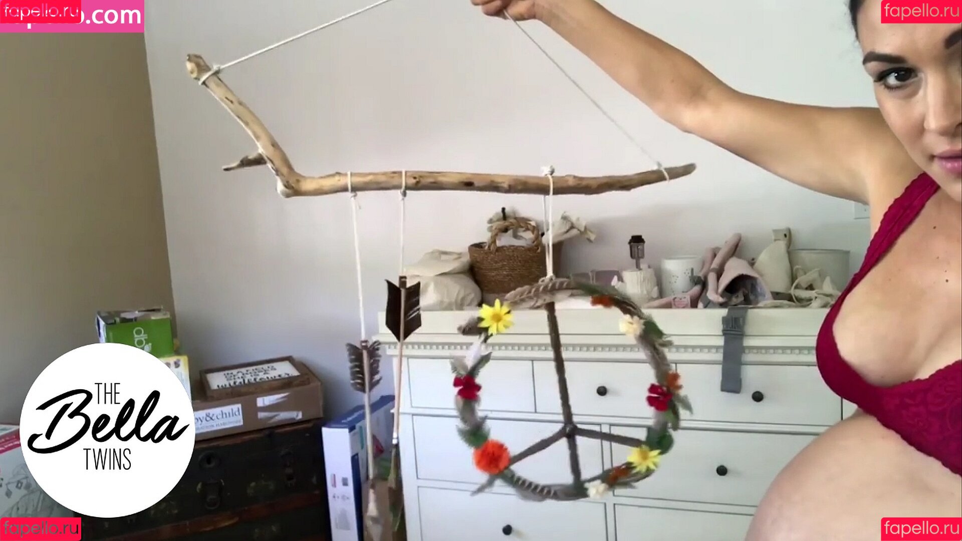 The Bella Twins: Onlyfans Photo Gallery 