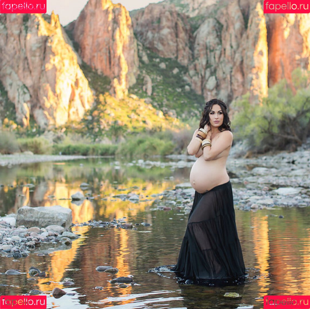 The Bella Twins: Onlyfans Photo Gallery 