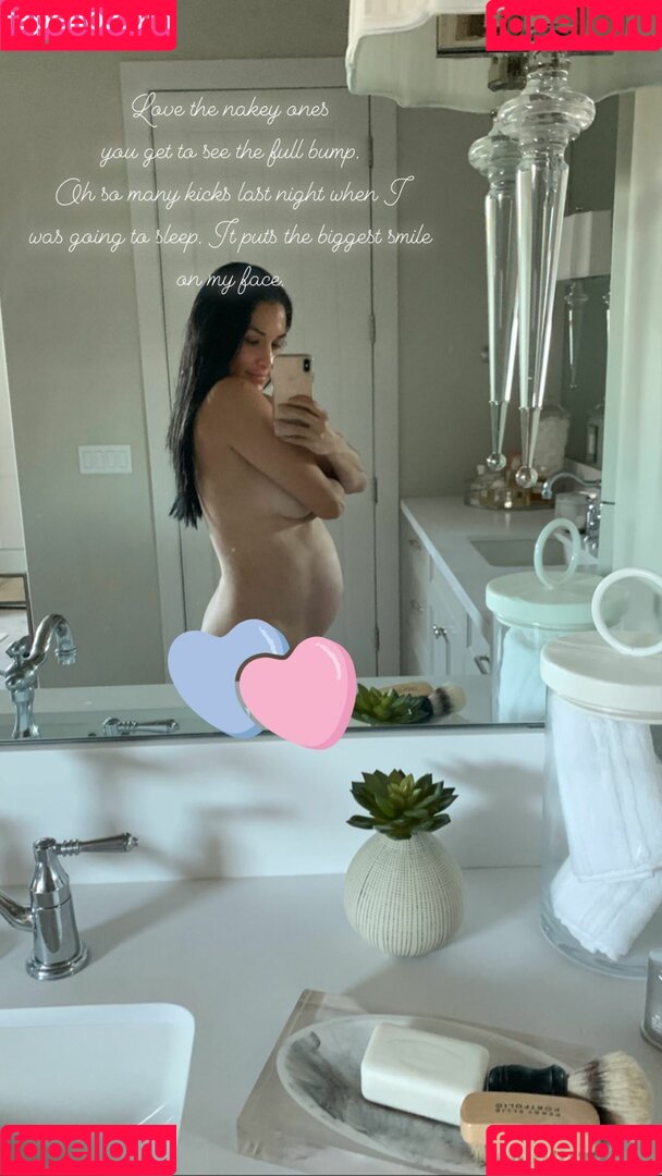 The Bella Twins: Onlyfans Photo Gallery 