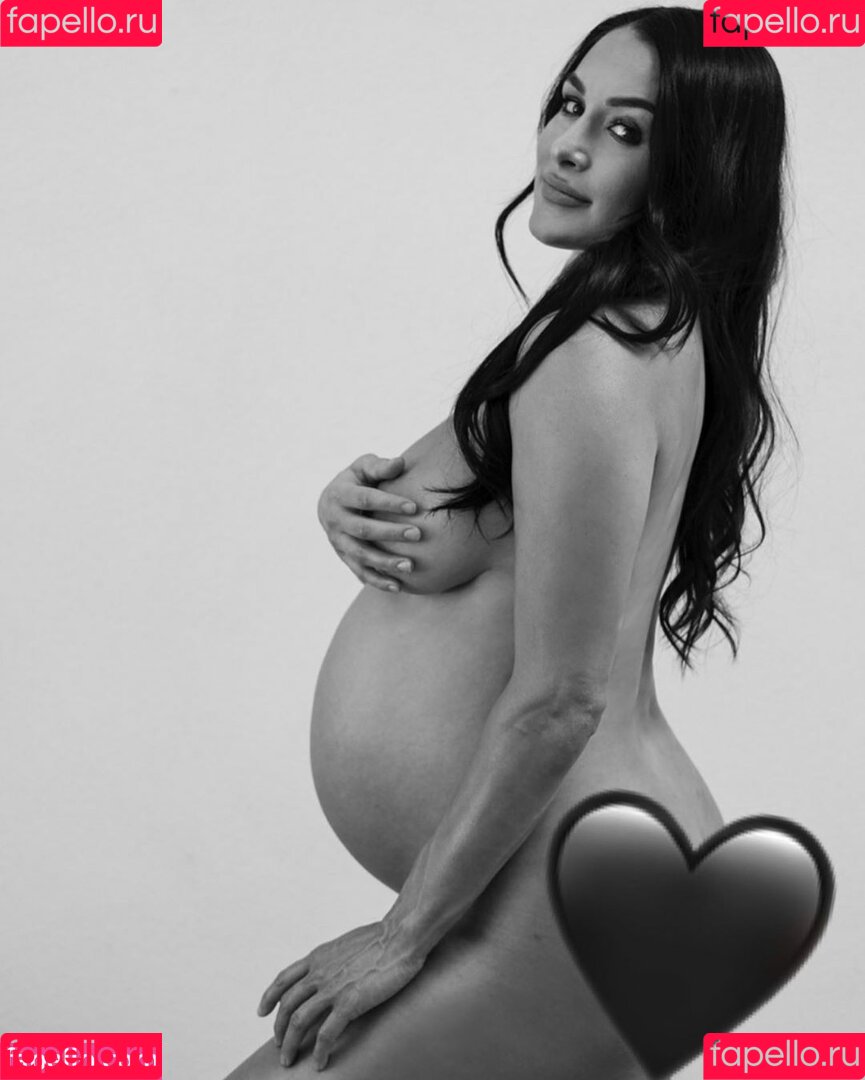 The Bella Twins: Onlyfans Photo Gallery 